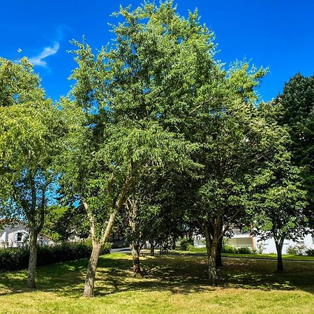 Ferienwohnung T3 Moderne Avec Balcon Terrasse Et Parking Gratuit Niort Exterior foto